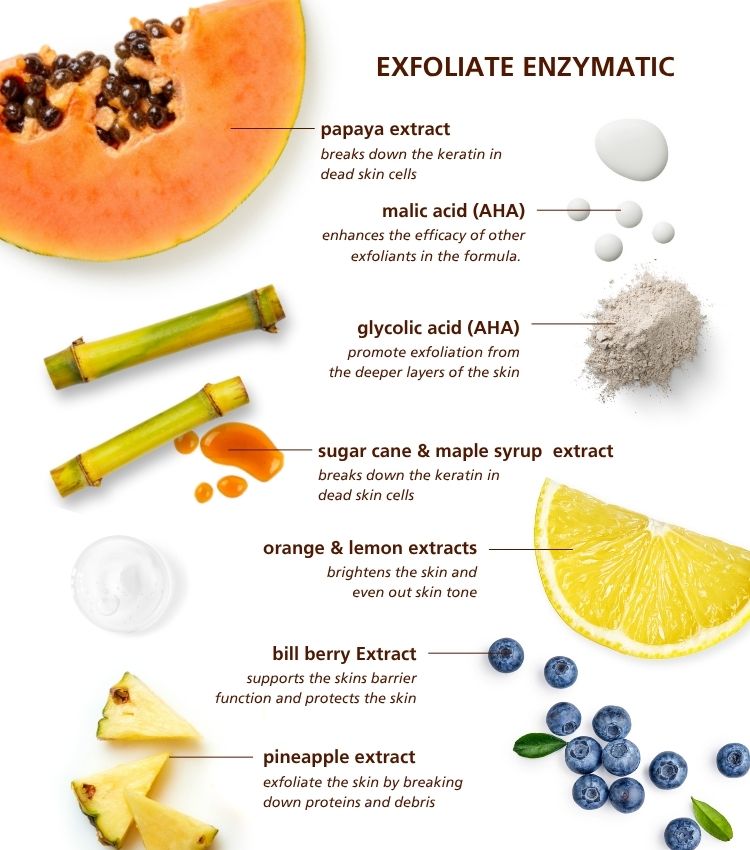 Exfoliate Enzymatic Exfoliate Enzymatic