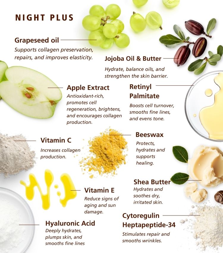 Night Plus Night Plus