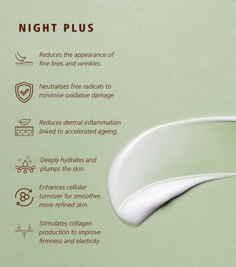 Night Plus Night Plus