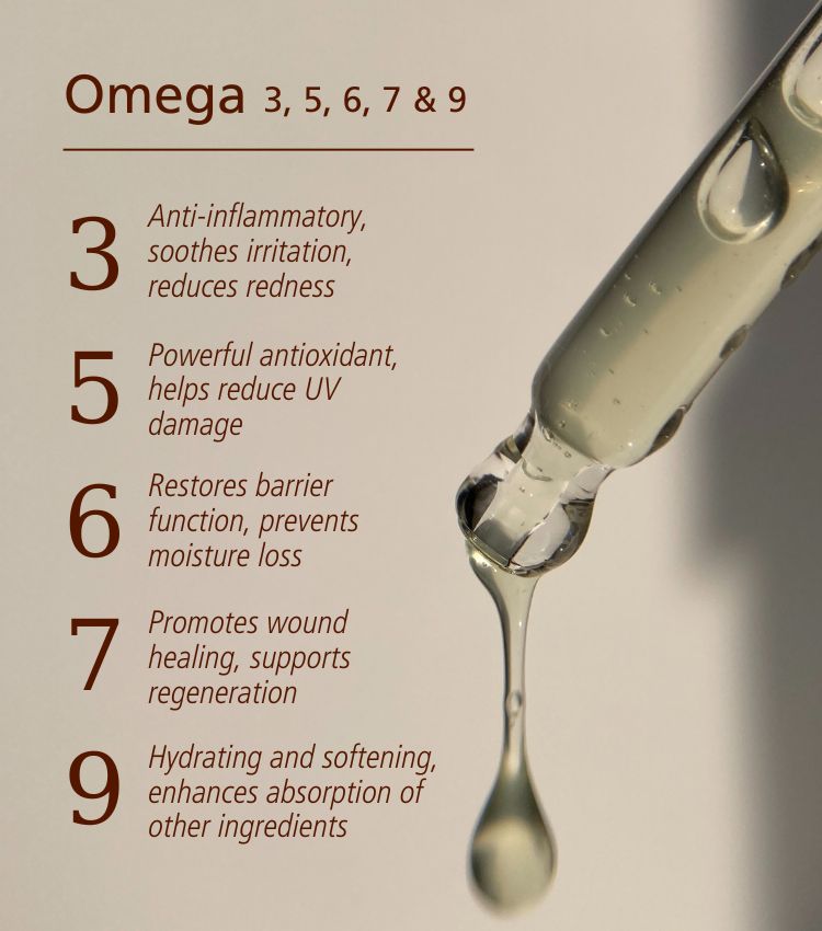 Omega Face Oil Omega Face Oil